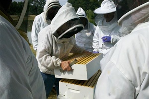 Introduction to Beekeeping  Spring 2021 is coming