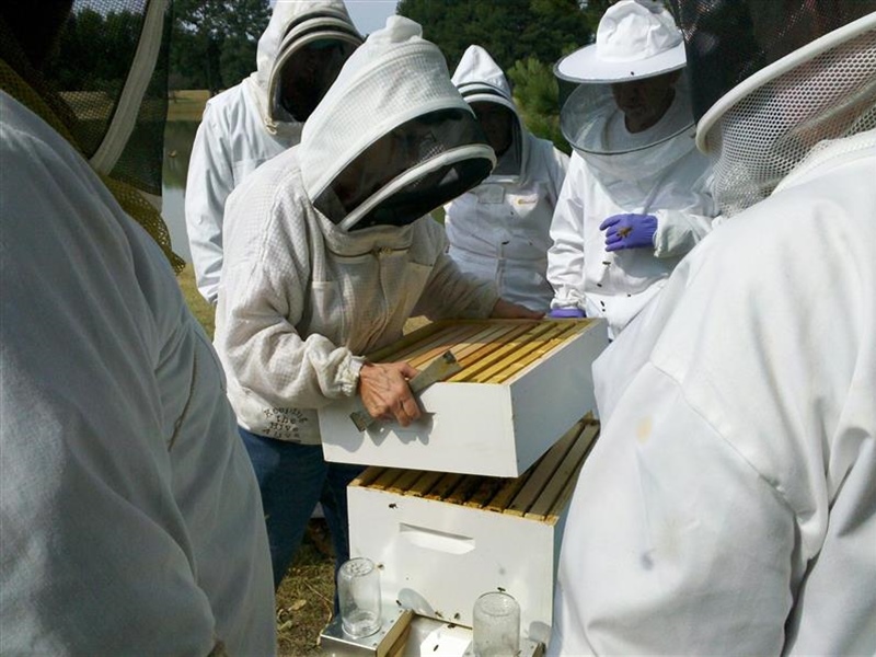 Introduction to Beekeeping  Spring 2021 is coming