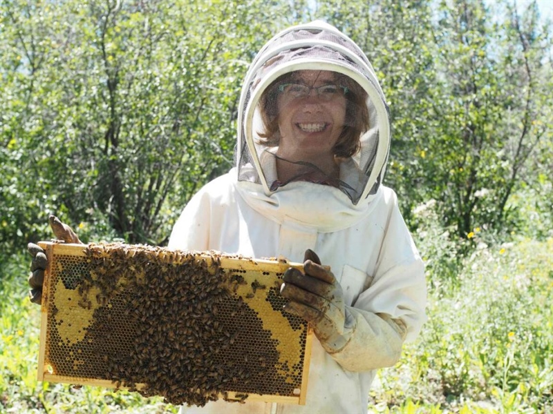 Edmonton and District Beekeeping Association (EDBA) Feb meeting