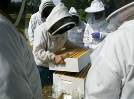 Introduction to Beekeeping  Spring 2021 is coming